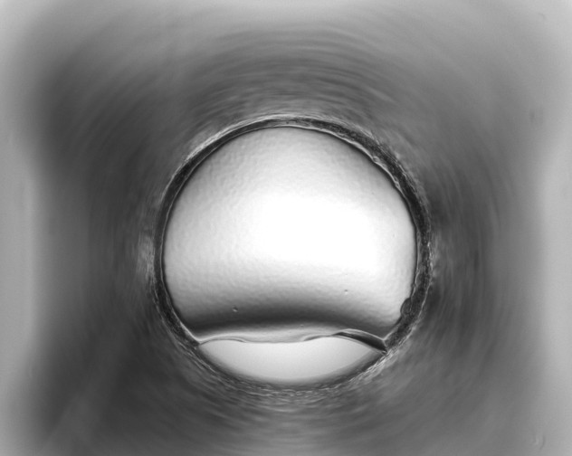 X0000096421505200801311402