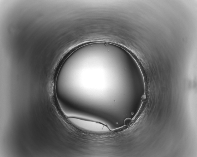 X0000096421507200801311402