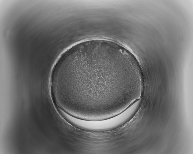 X0000096421508200801311402
