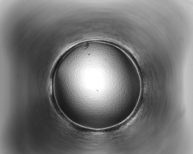 X0000096421509200801311402