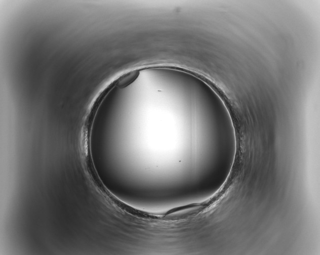 X0000096421510200801311402