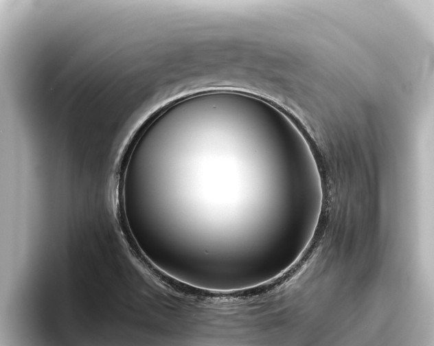 X0000096421511200801311402