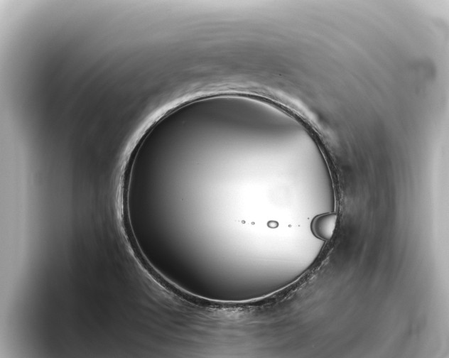 X0000096421512200801311402