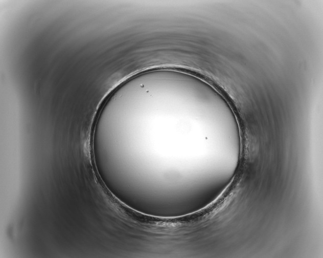 X0000096421513200801311402