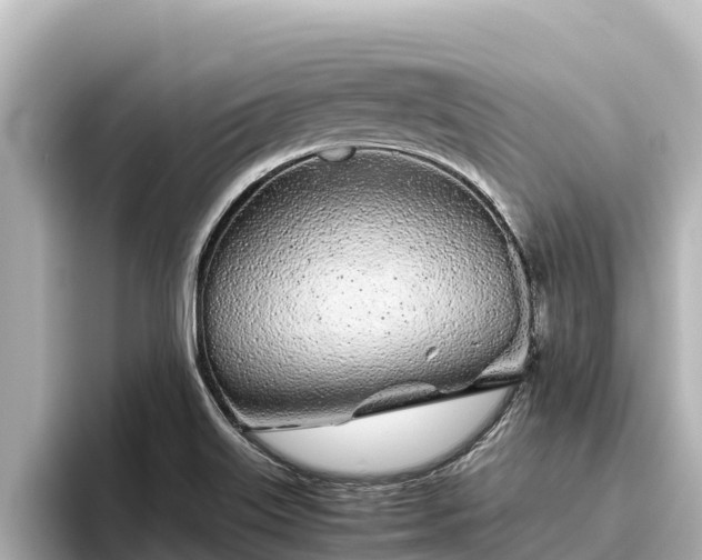 X0000096421515200801311402