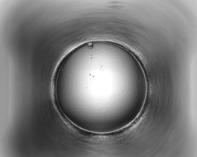 X0000096421517200801311402