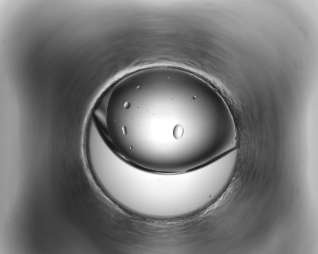 X0000096421518200801311402