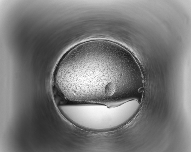 X0000096421519200801311402