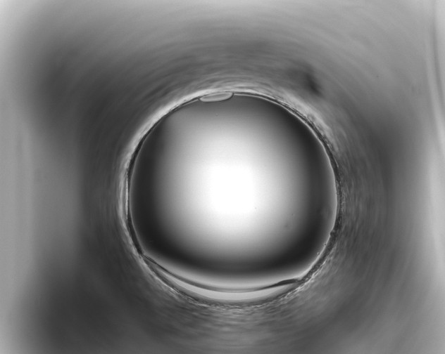 X0000096421520200801311402