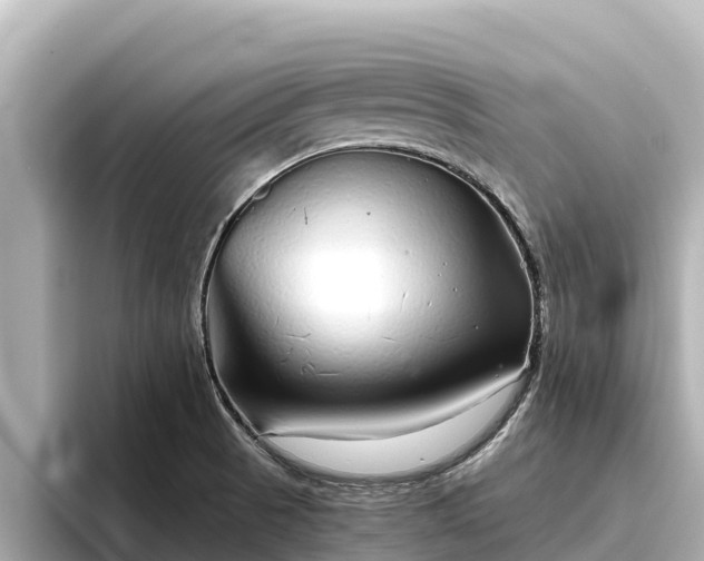 X0000096421521200801311402