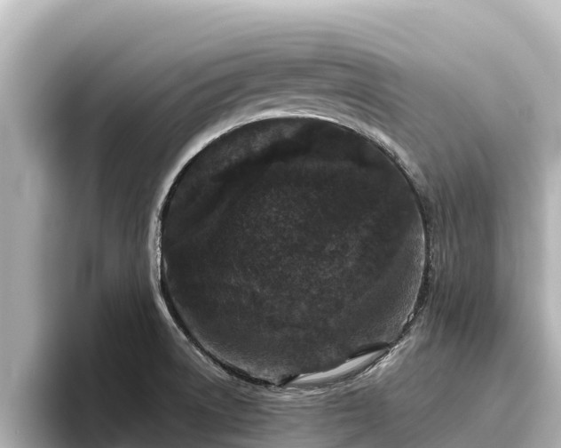 X0000096421522200801311402