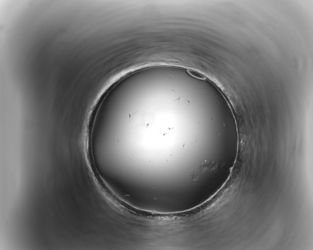 X0000096421523200801311402