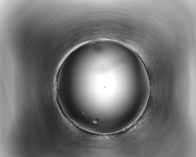 X0000096421524200801311402