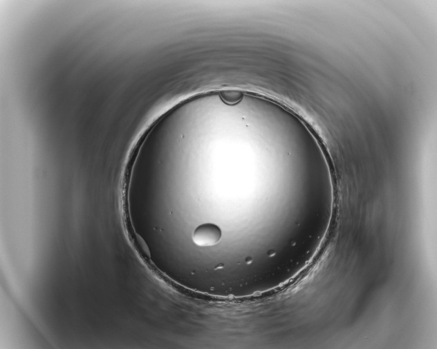 X0000096421525200801311402