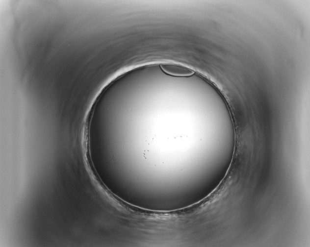 X0000096421526200801311402