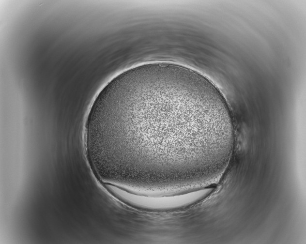 X0000096421527200801311402