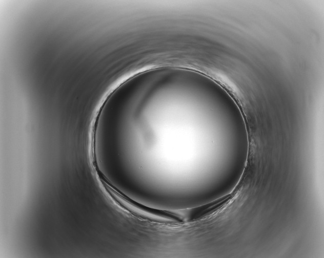 X0000096421528200801311402