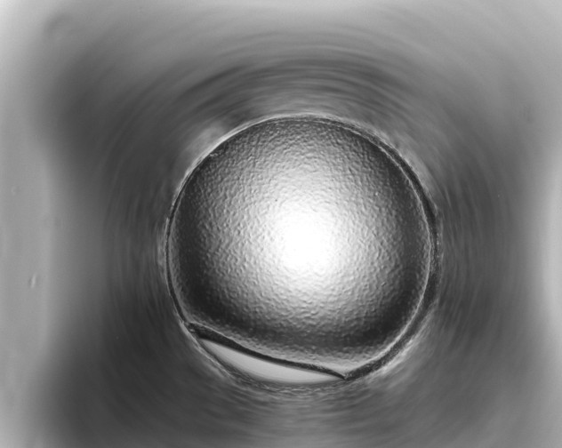 X0000096421529200801311402