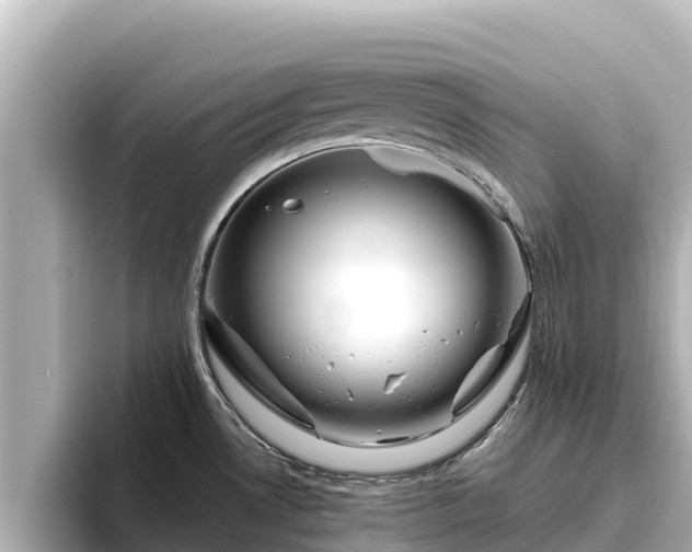 X0000096421530200801311402