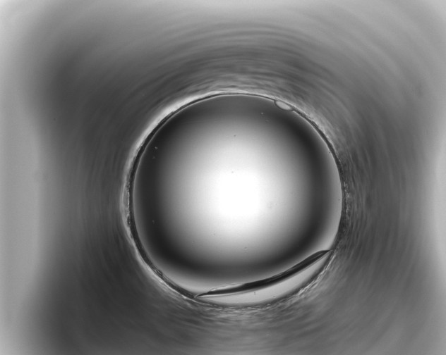 X0000096421531200801311402