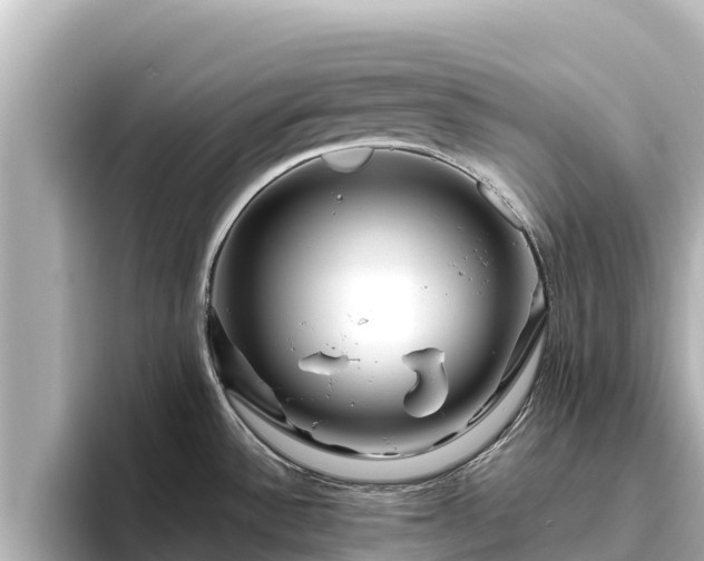 X0000096421532200801311402