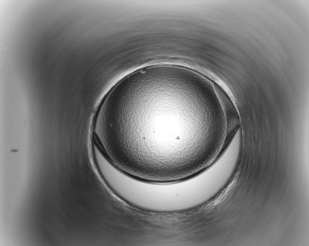 X0000096421533200801311402