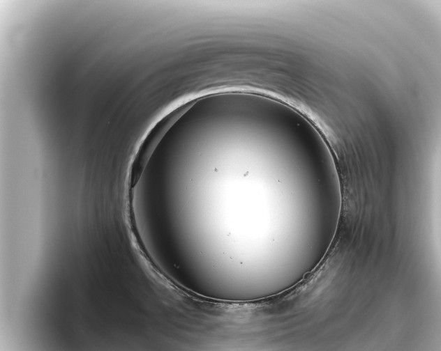 X0000096421534200801311402