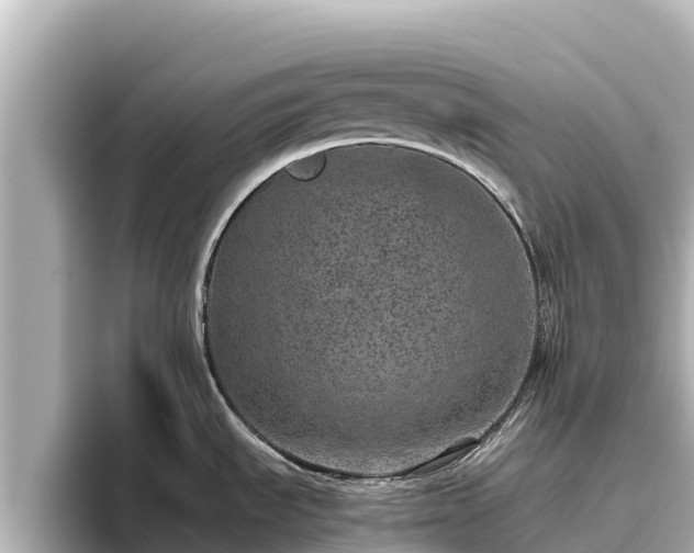X0000096421535200801311402