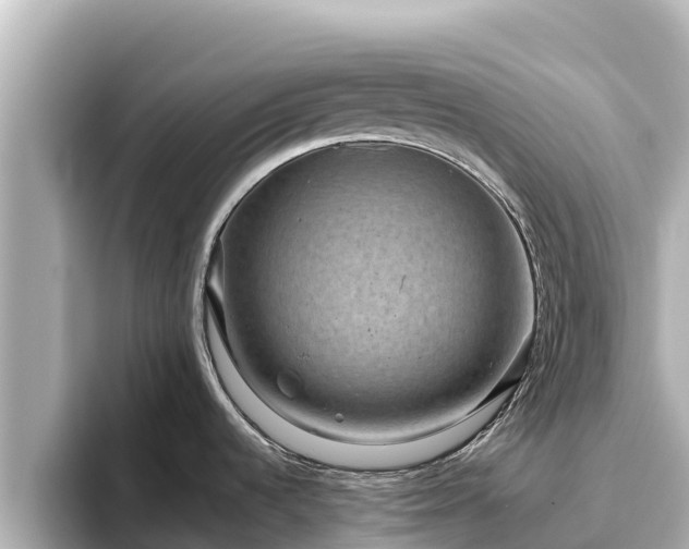 X0000096421536200801311402