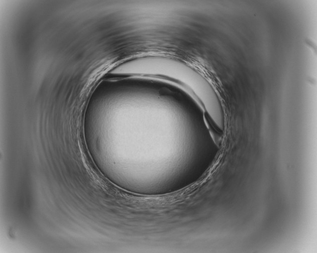 X0000096420001200802071713