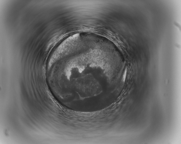 X0000096420002200802071713