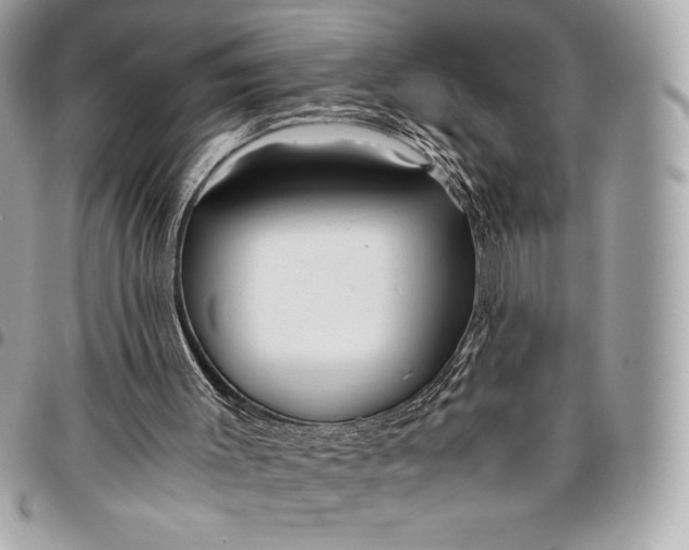 X0000096420003200802071713