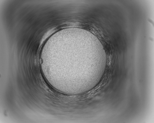 X0000096420004200802071713