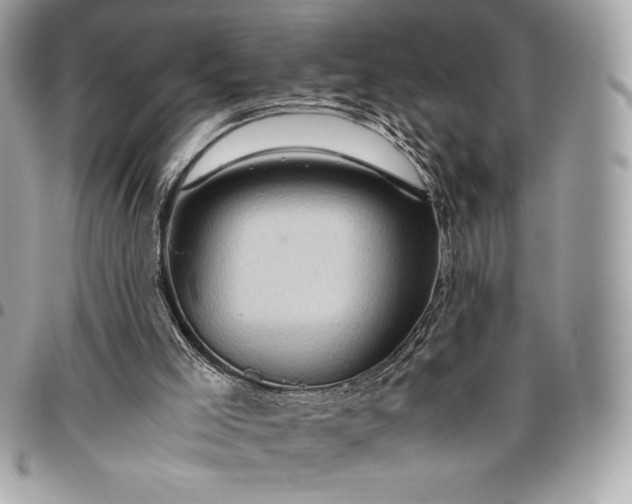 X0000096420005200802071713