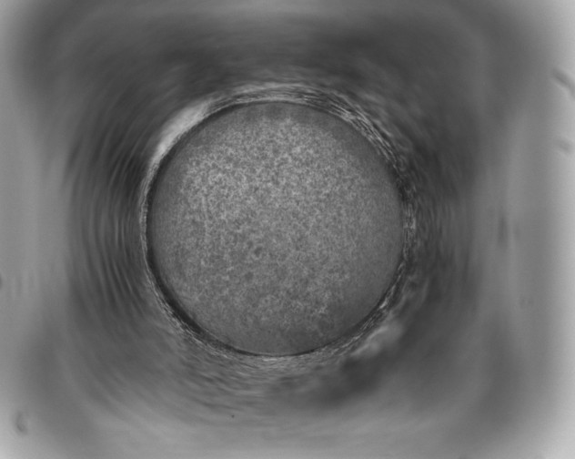 X0000096420006200802071713