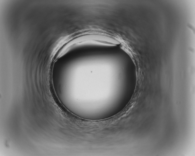 X0000096420007200802071713