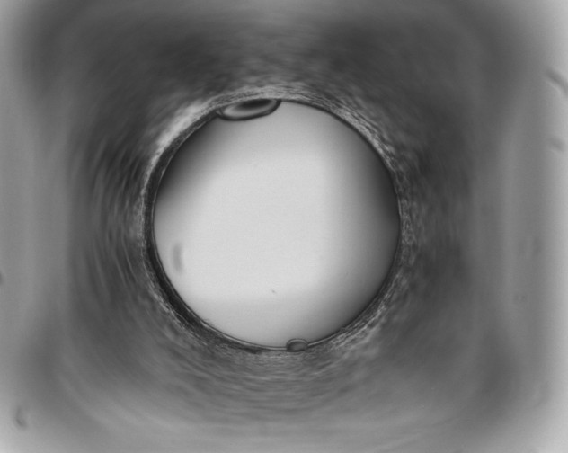 X0000096420008200802071713