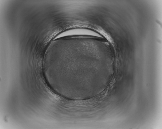 X0000096420009200802071713