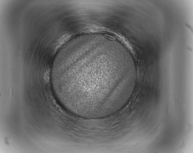 X0000096420010200802071713