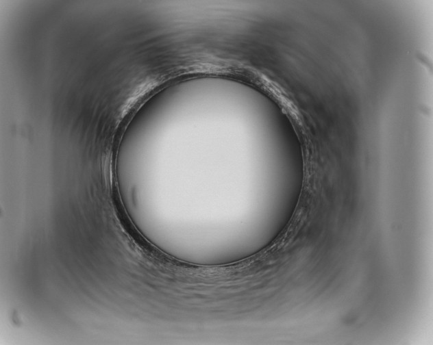 X0000096420011200802071713