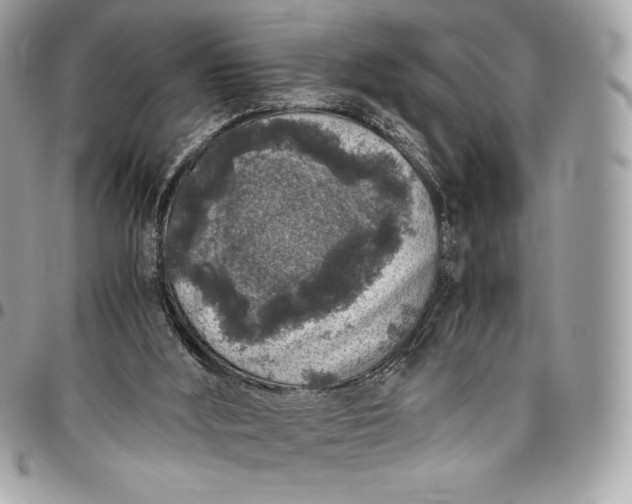 X0000096420012200802071713