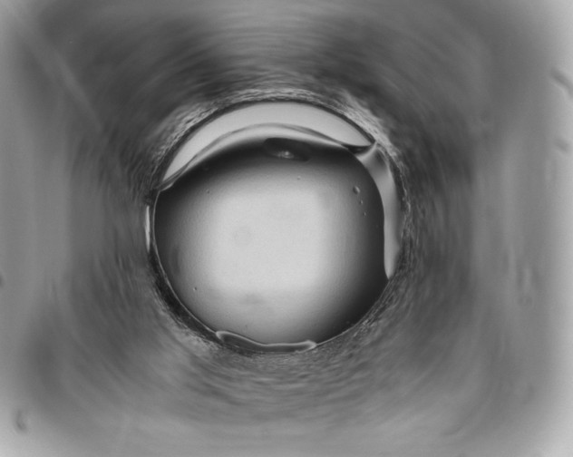 X0000096420013200802071713