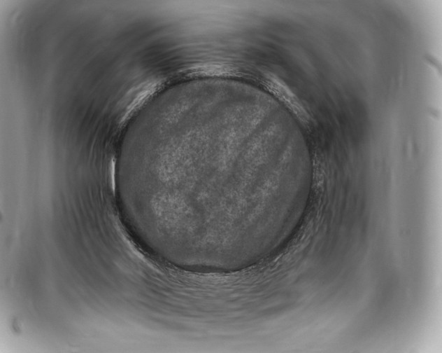 X0000096420014200802071713