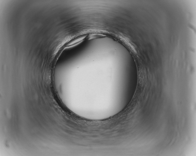 X0000096420015200802071713