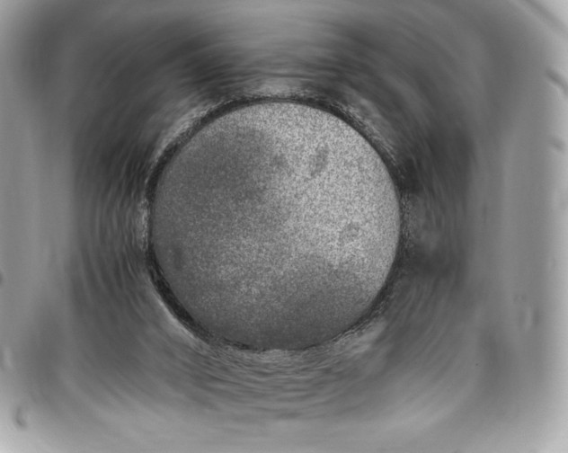 X0000096420016200802071713