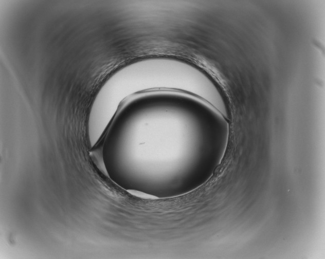 X0000096420017200802071713