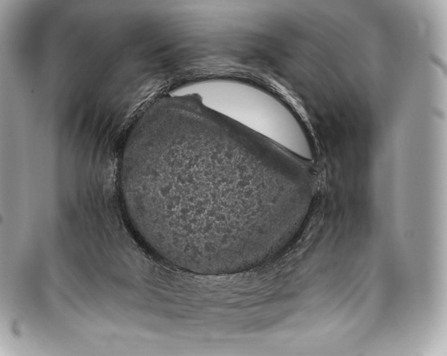 X0000096420018200802071713