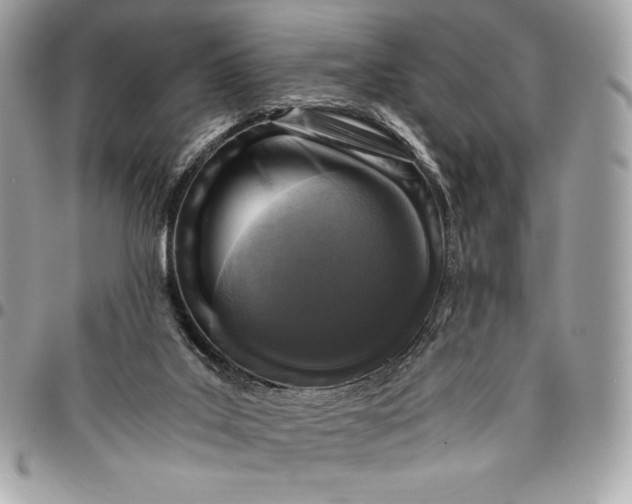 X0000096420019200802071713