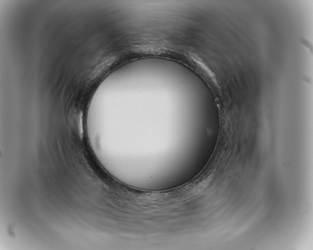 X0000096420020200802071713