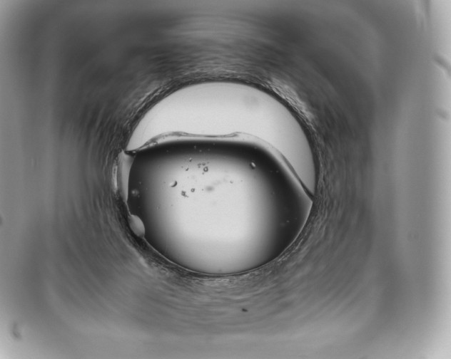 X0000096420021200802071713